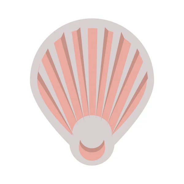 Shell mořské zvíře izolované ikona — Stockový vektor