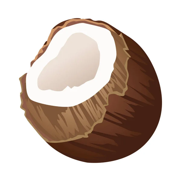 Vers kokosfruit zomer icoon — Stockvector