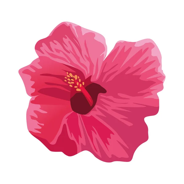 Tropical and exotic pink flower icon — Stock Vector