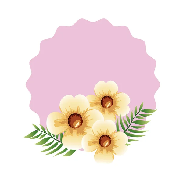 Beautiful yellow flowers circular frame — Stock Vector