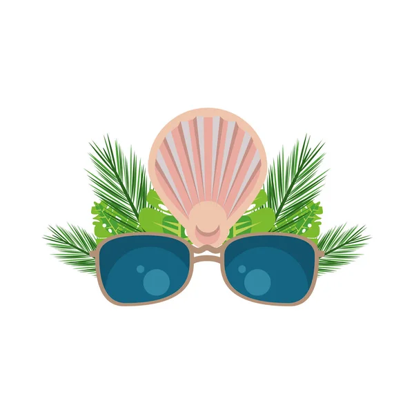 Tropical leafs palms summer with shell and sunglasses — Stock Vector