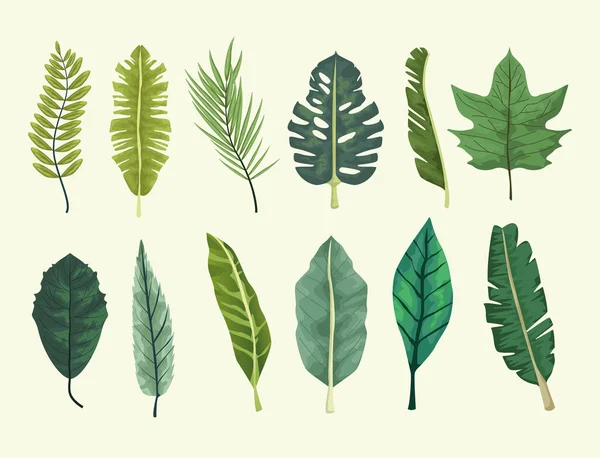 Тропічні листки ботанічний дизайн фону — стоковий вектор