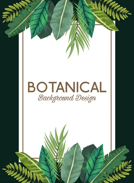 Tropische bladeren in vierkante frame en belettering botanische achtergrond ontwerp — Stockvector