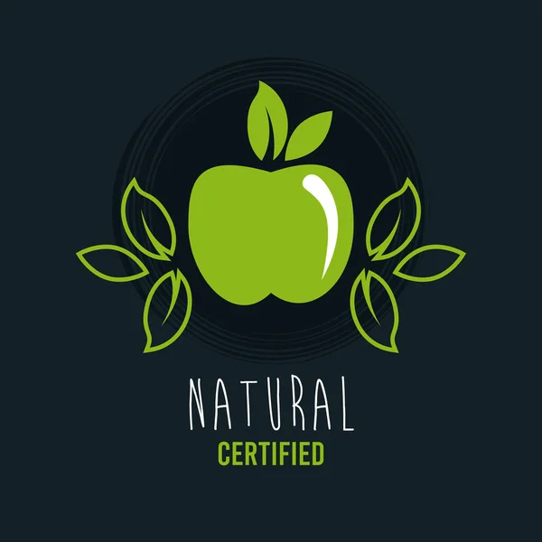 Prémiový a zdravý potravinový plakát s jablky a listy — Stockový vektor