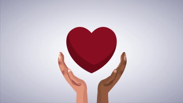 Detener la campaña racista con las manos interraciales levantando el corazón — Vídeo de stock