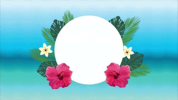 Bonjour affiche de vacances d'été avec des fleurs tropicales et des feuilles sur la plage — Video