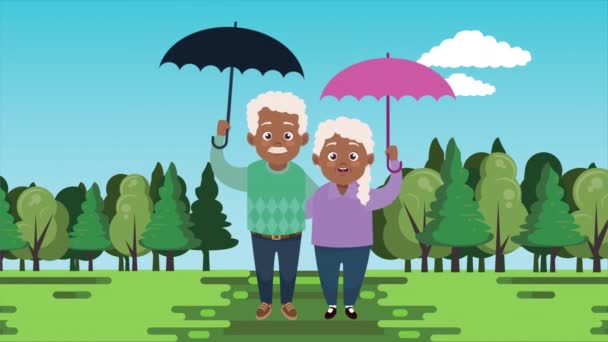 Gelukkige grootouders dagkaart met afro oude geliefden paar in het kamp — Stockvideo