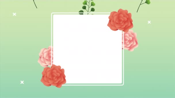 Bella decorazione floreale in cornice quadrata con rose rosse — Video Stock