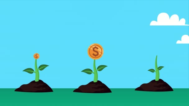Munten geld dollars plant animatie — Stockvideo