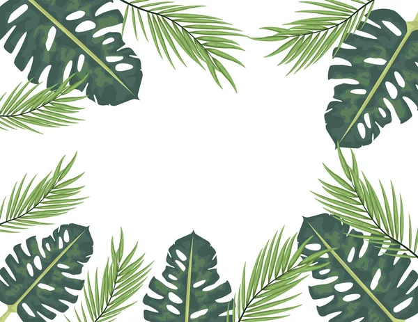 Feuilles tropicales palmier nature cadre — Image vectorielle