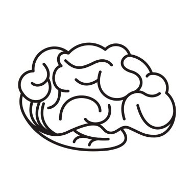 Beyin organı izole edilmiş simge