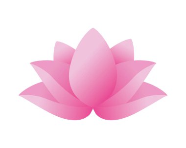 Nilüfer çiçeği Asya izole ikonu