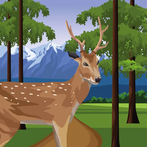 Animal renne sauvage dans la scène du camp — Image vectorielle
