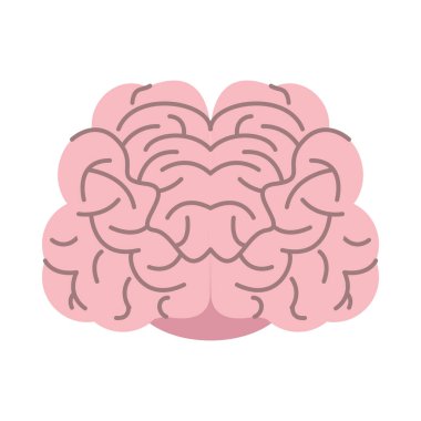 Beyin organı izole edilmiş simge