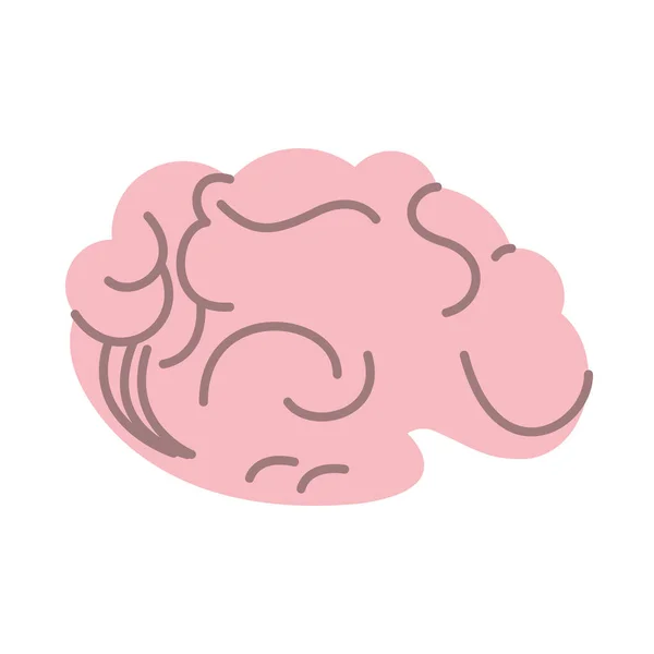Hersenen menselijk orgaan geïsoleerd pictogram — Stockvector