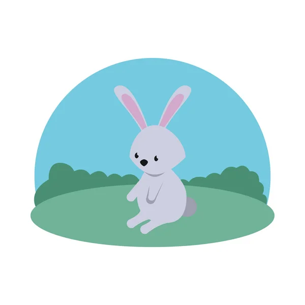 Cute rabbit easter season character in camp — Stock Vector