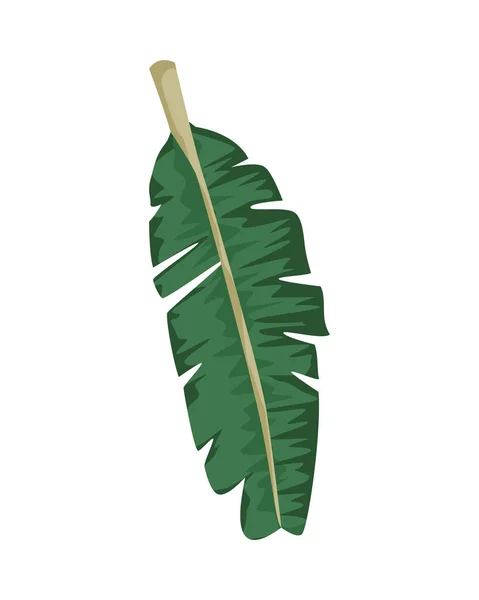 Feuille tropicale palmier nature icône — Image vectorielle