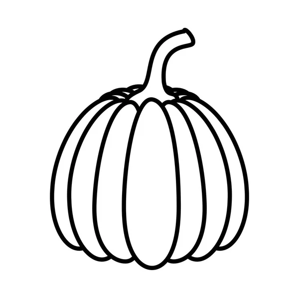 Calabaza saludable vegetal aislado icono de estilo — Archivo Imágenes Vectoriales