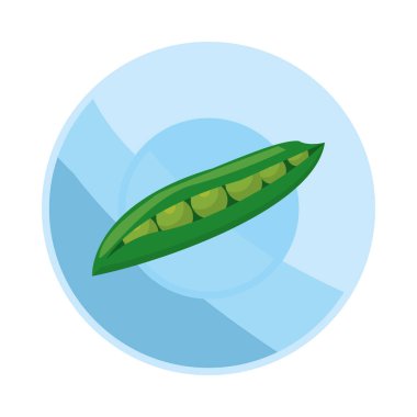 Taze fasulye tohumları sağlıklı sebze