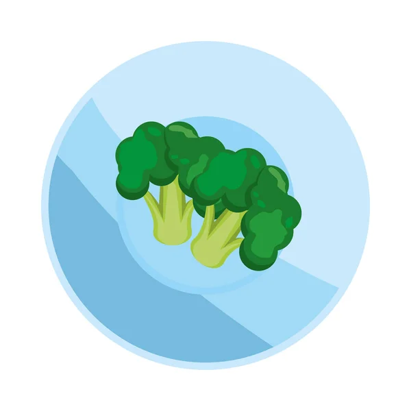 Brócoli fresco icono vegetal saludable — Vector de stock