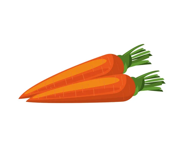 Морковь здоровые овощи подробно икона стиля — стоковый вектор