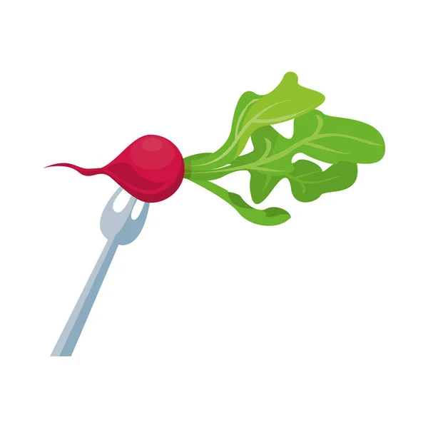 Rábano vegetal sano en tenedor — Vector de stock