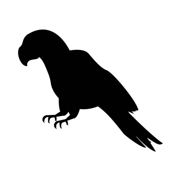 Salvaje exótico guacamayo pájaro animal silueta — Vector de stock