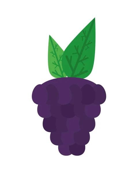 Winogrona świeże pyszne owoce izolowane styl ikona — Wektor stockowy