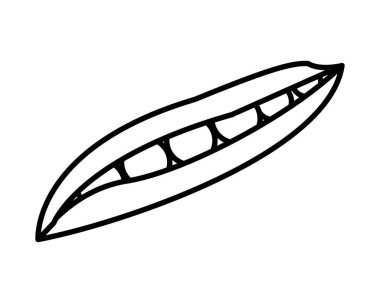 Taze fasulye tohumları sağlıklı sebze