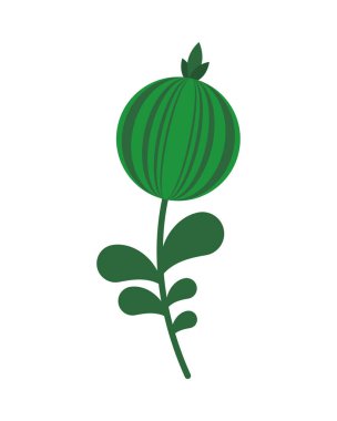 Ekoloji bitkisi doğası izole edilmiş simge