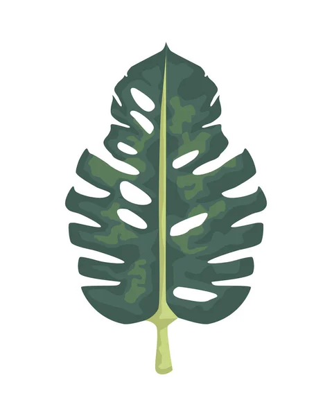 Tropisch blad palm natuur icoon — Stockvector
