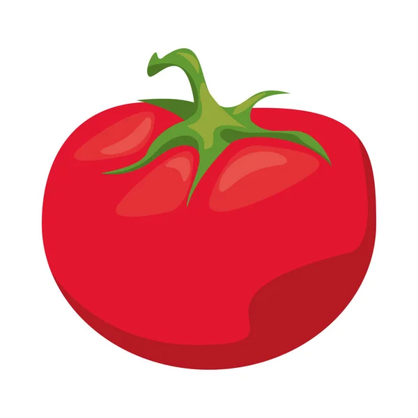 Tomate gesund Gemüse isoliert Stil-Ikone — Stockvektor