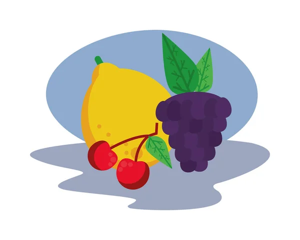 Trauben mit Kirschen und Birnen frische köstliche Früchte — Stockvektor