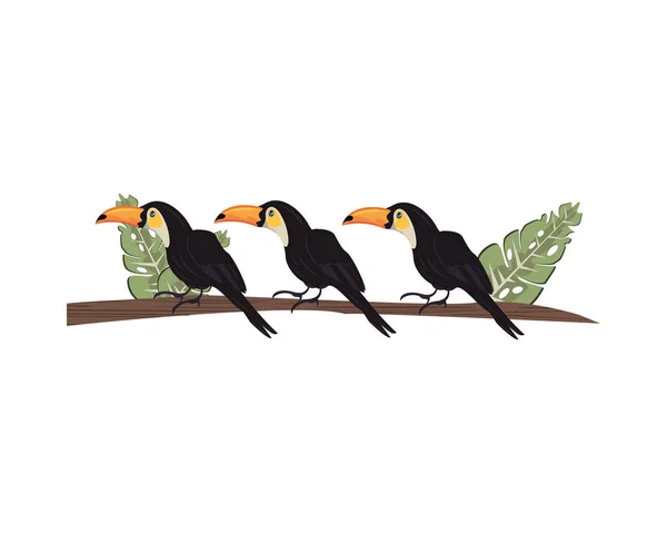 Vilda tukaner fåglar djur i träd gren — Stock vektor