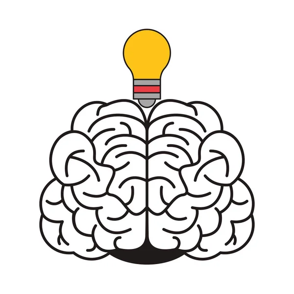 Idée de lumière ampoule avec organe cérébral — Image vectorielle