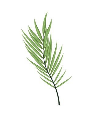 Tropikal yaprak palmiye doğa simgesi