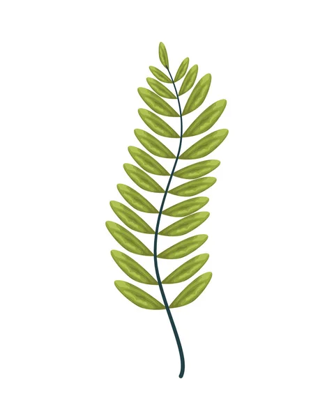 Tropiska blad palm natur ikon — Stock vektor