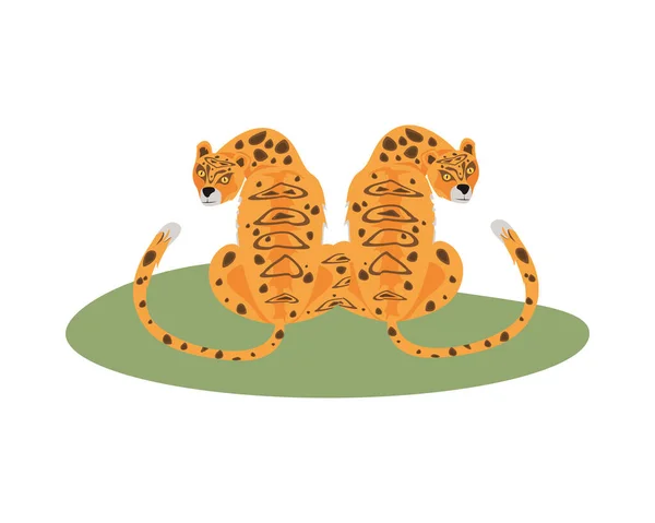 Animales salvajes leopardos felinos bestia — Vector de stock