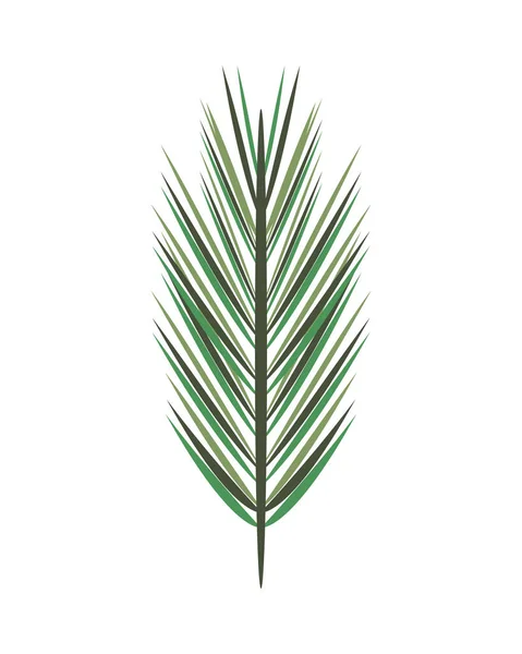 Ikona przyrody liści tropikalnych — Wektor stockowy