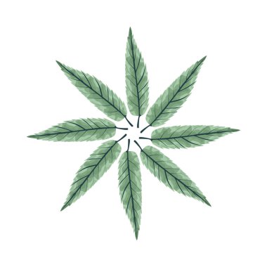 Tropikal yapraklar palmiye doğası dairesel dekorasyonu