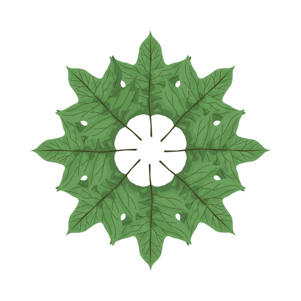 Trópusi levelek pálma természet körkörös dekoráció — Stock Vector