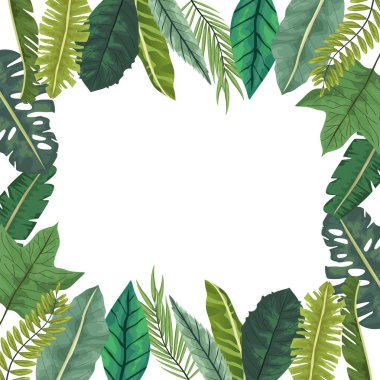 Tropikal yapraklar palmiye doğası çerçevesi