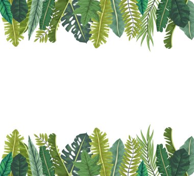 Tropikal yapraklar palmiye doğası çerçevesi