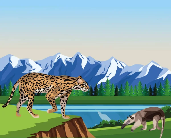 野性食蚁兽和豹类动物在营地的场景 — 图库矢量图片