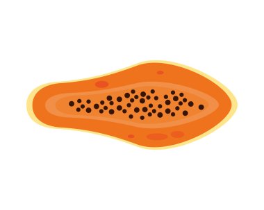 Papaya taze lezzetli meyve izole edilmiş biçim simgesi