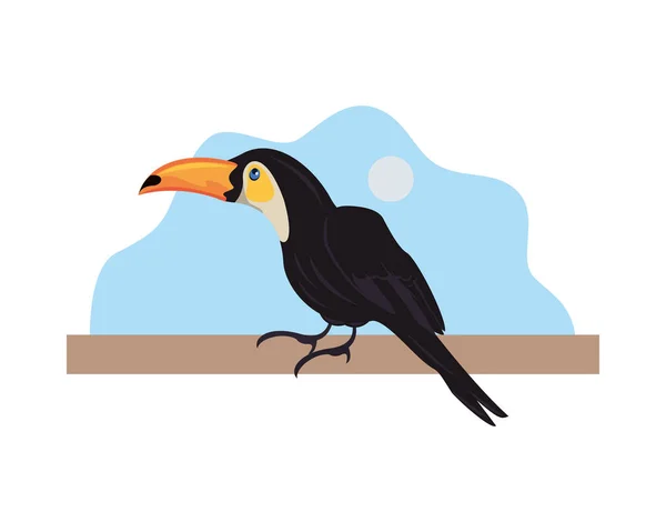 Divoký toucan pták zvíře ikona — Stockový vektor
