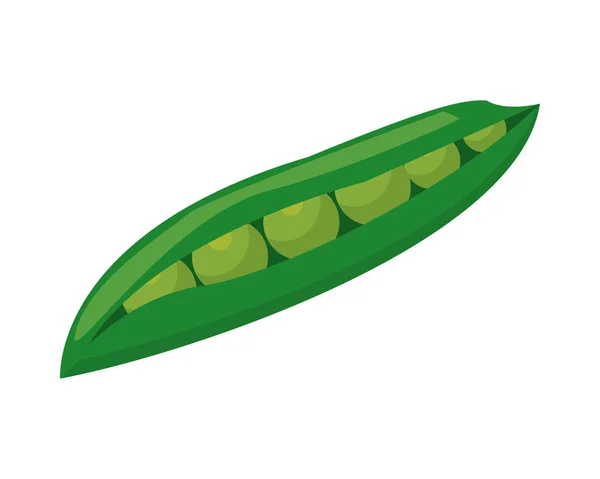 Haricots frais graines légumes sains — Image vectorielle
