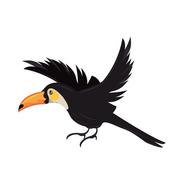 Wild toucan bird animal flying — Stock Vector