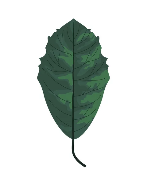 Hoja tropical palma naturaleza icono — Vector de stock