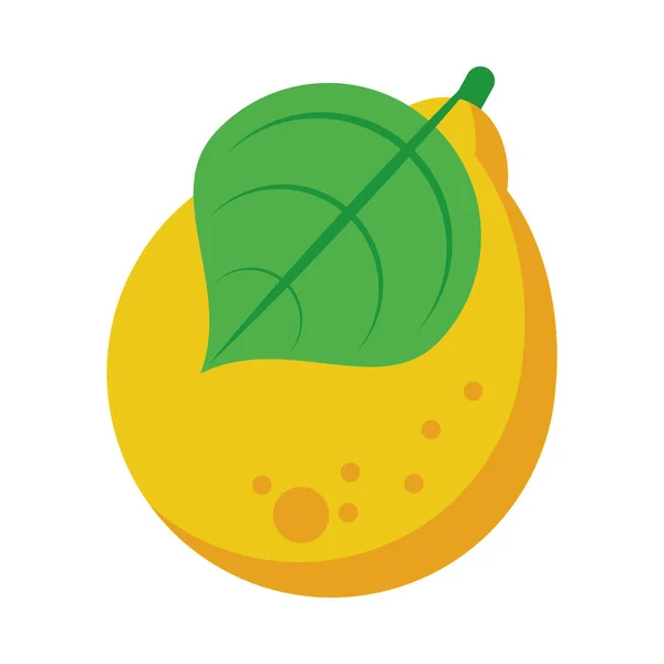 Mangue fruits frais délicieux icône de style isolé — Image vectorielle